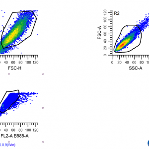 请输入相册名称