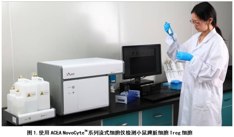 艾森ACEA NovoCyteTM流式细胞仪检测调节性T细胞 (Treg)
